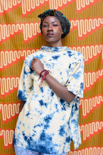 Woman Wearing Blue and Beige Crew-neck Shirt Dress