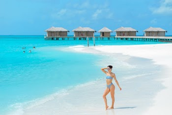 Woman Wearing Blue Bikini Standing Near the Ocean