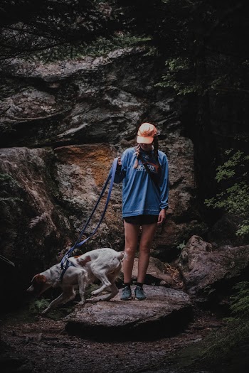 Woman Wearing Blue Long- Sleeve Shirt Holding Dog On Leash