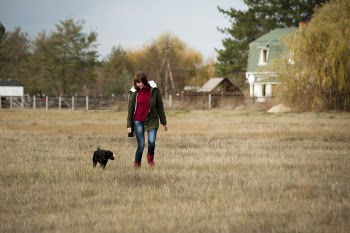 Woman Wearing Brown Zip-up Jacket and Blue Denim Jeans Walking Beside Short-coated Black Dog at Daytime