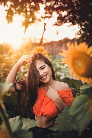 Woman Wearing Crop Top Surrounded by Sunflowers