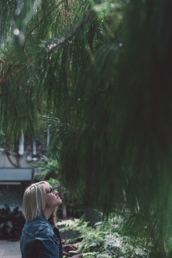 Woman Wearing Eyeglasses Staring at Pine Tree