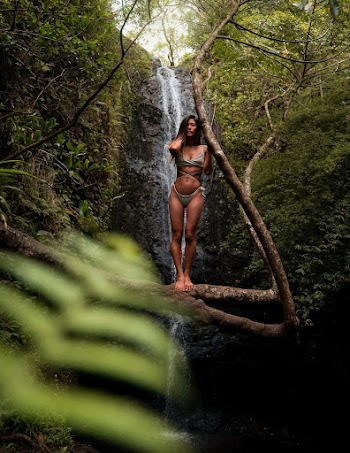 Woman Wearing Gray Bikini Standing on Tree Branch in Front of Waterfalls Near Trees during Day