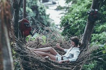 Woman Wearing Gray Long-sleeved Shirt on Nest Hammock in Selective Focus Photography