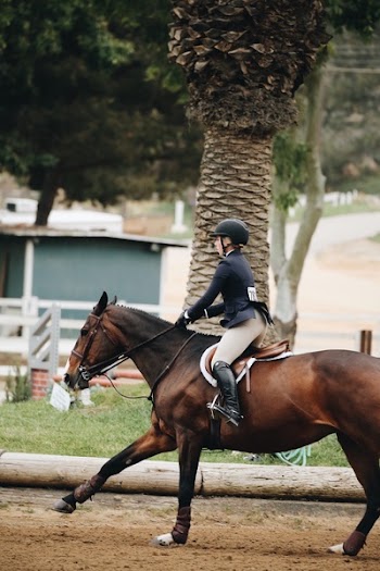 Woman Wearing Helmet Riding Horse