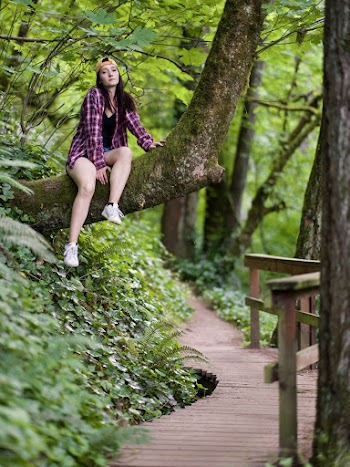 Woman Wearing Maroon and Red Plaid Shirt Sitting on Tree trunk
