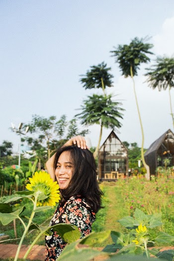 Woman Wearing Multi-colored Floral Shirt Standing Near Flower Field