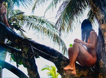 Woman Wearing Orange Bikini Sitting On Tree Branch