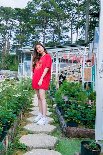 Woman Wearing Red Crew-neck Shirt Standing Between Plants Near Trees