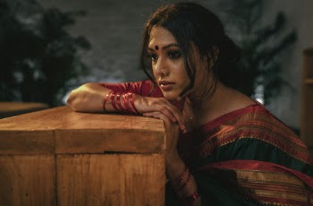 Woman Wearing Sari Dress