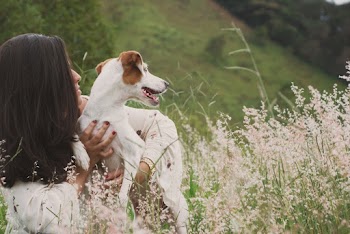 Woman Wearing White Dress Holding White and Brown Dog