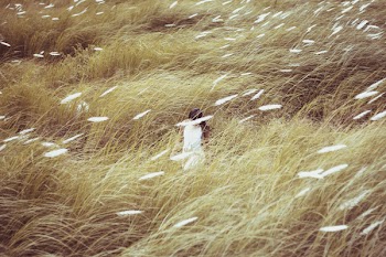 Woman Wearing White Dress Standing in the Middle of Grasses