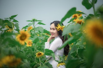 Woman Wearing White Long-sleeved Shirt Standing at Yellow Sunflower Field