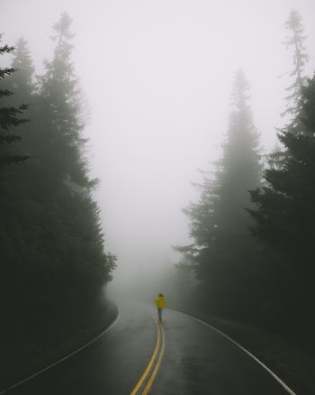 woman wearing yellow jacket standing on road surrounded by pine trees