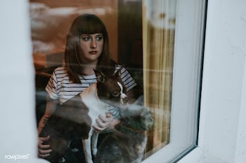 Woman with a Boston Terrier looking out the window during social isola.. | Free  photo - 2332471