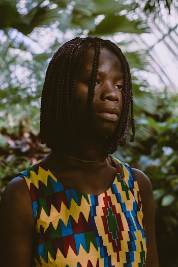 Woman With Braided Hairstyle