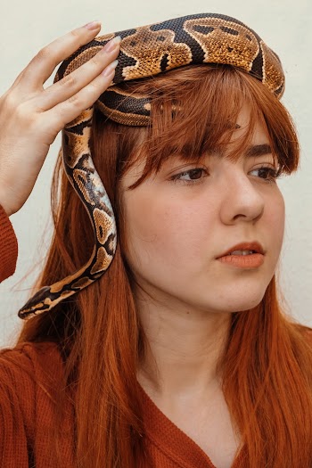 Woman With Brown Hair With Snake on Her Head