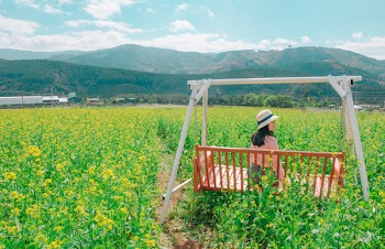Woman With White Hat on Brown Swing Bench