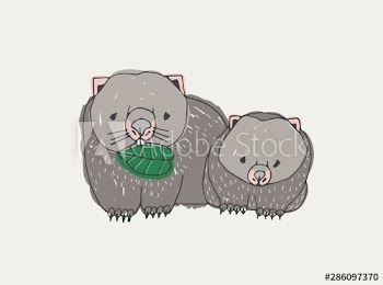 Wombat eating leaf and its baby isolated on white background
