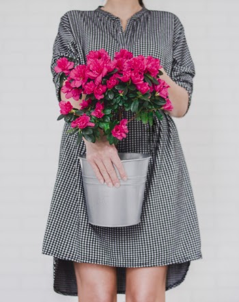 Women's Black and White Midi Dress