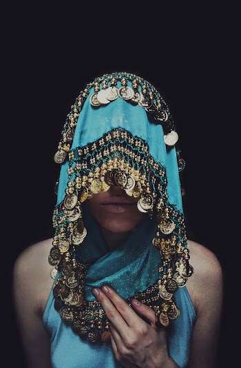 Women's Blue and Brown Sari