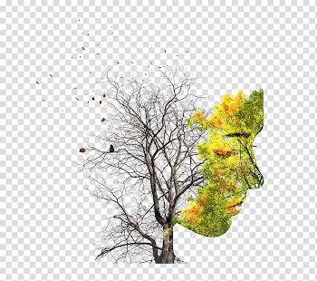 Women creative silhouette dead trees and greenery composition transparent background PNG clipart