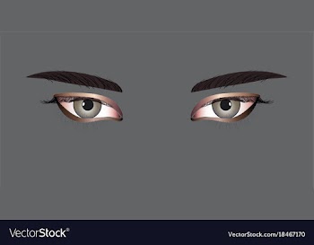 Women eyes vector image