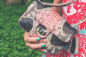 Women Holding Pink and Black Snakeskin Sling Bag