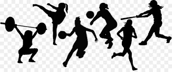 Women's sports Larraul Silhouette Volleyball - cheering crowd silhouette 