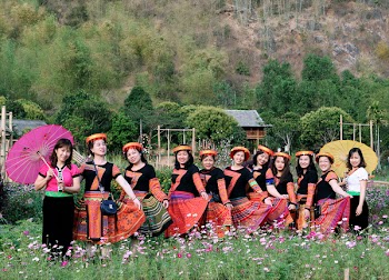 Women Standing in the Middle of Pink Flower Field
