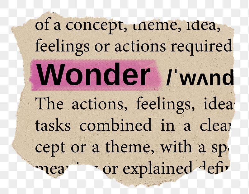 Wonder png word sticker, torn | Free PNG - rawpixel