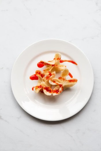 Wonton Appetizer