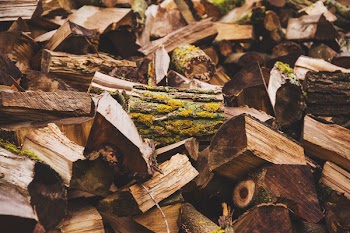Wood