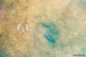 Wood background