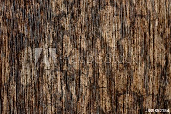 Wood background