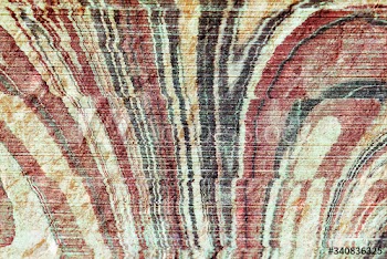 Wood background