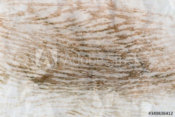 Wood background