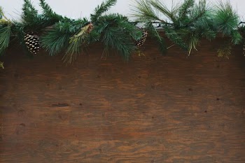 Wood Background Wth Festive Greenery
