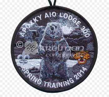Wood Badge Scouting Cub Scout Boy Scouts of America Training - lake camping in the woods night 