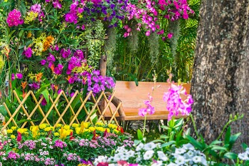 Wood chair in the flowers garden on summer.