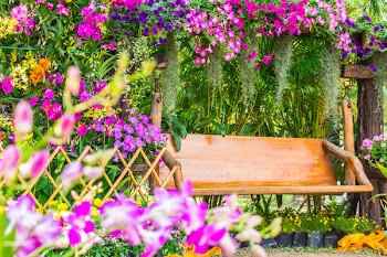 Wood chair in the flowers garden on summer.