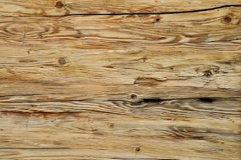 Wood floor texture background, brown | Free Photo - rawpixel