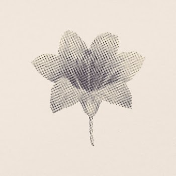 Wood lily flower element, retro | Free PSD - rawpixel
