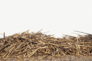Wood log border collage element | Free PSD - rawpixel