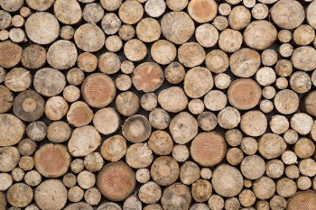Wood log pattern background, close | Free Photo - rawpixel
