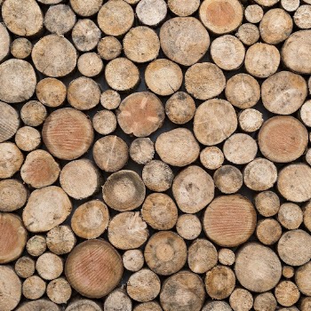 Wood log pattern background, close | Free Photo - rawpixel