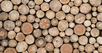 Wood log pile pattern background, | Free Photo - rawpixel