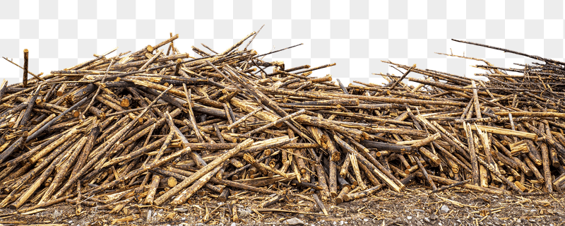 Wood log png border sticker, | Free PNG - rawpixel