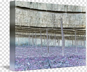 Wood /m/083vt, wood transparent background PNG clipart