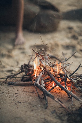 Wood on Fire